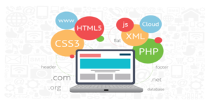 Website Development